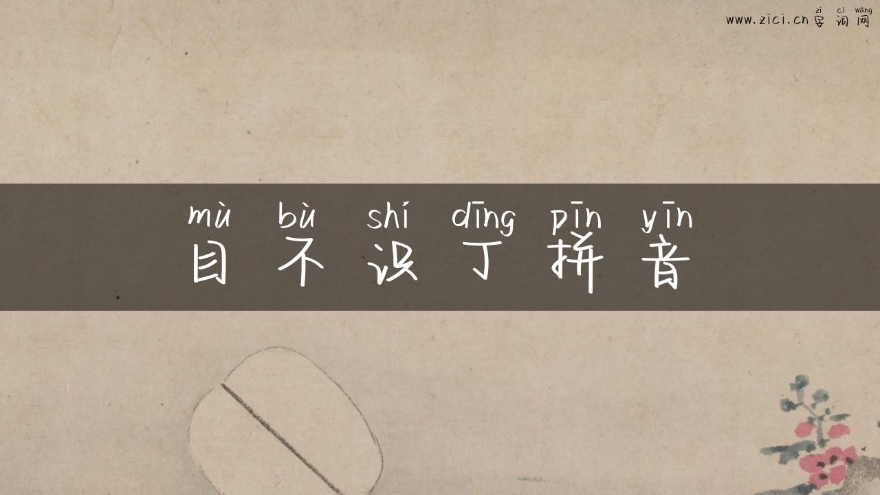 目不识丁拼音