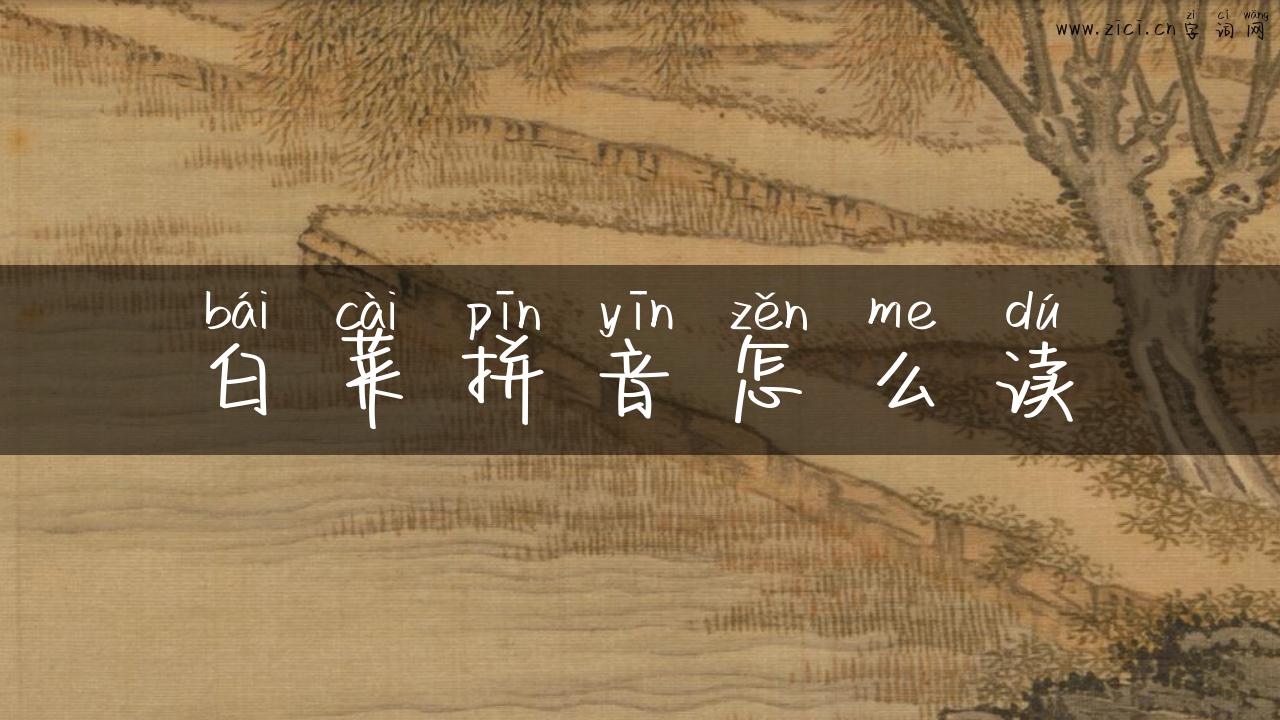 白菜拼音怎么读
