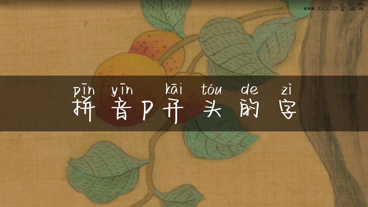 拼音p开头的字