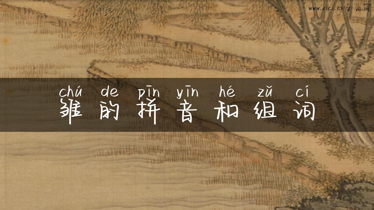 雏的拼音和组词