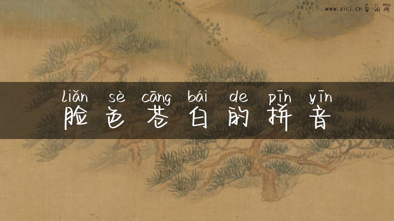 脸色苍白的拼音