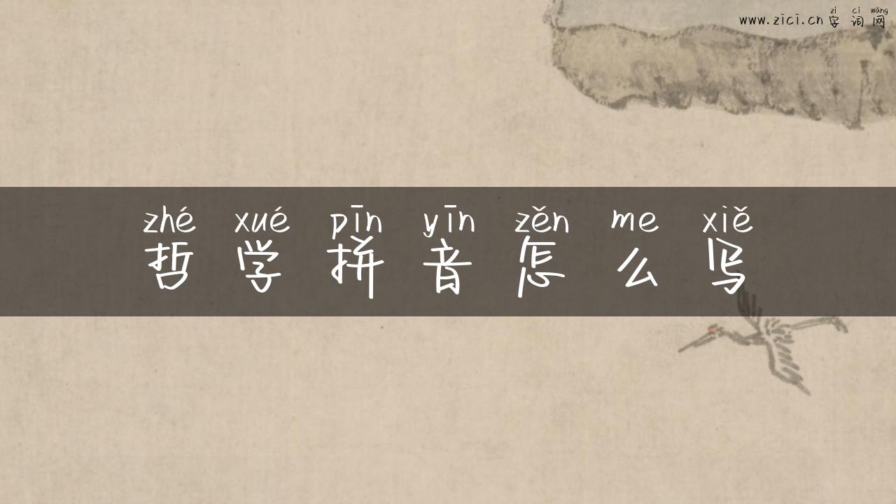 哲学拼音怎么写