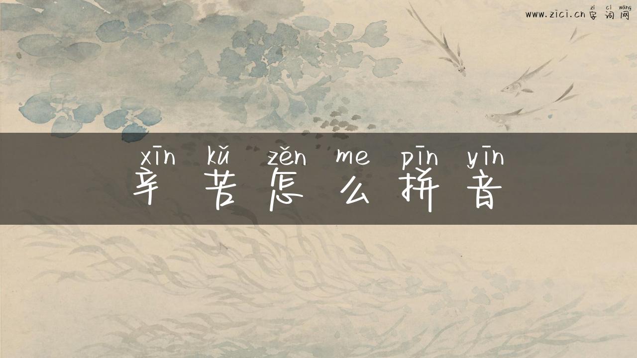 辛苦怎么拼音