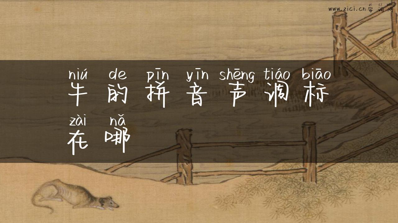 牛的拼音声调标在哪