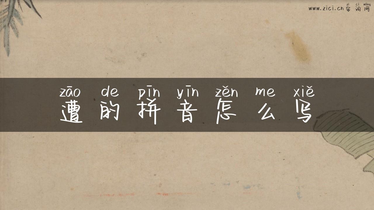 遭的拼音怎么写