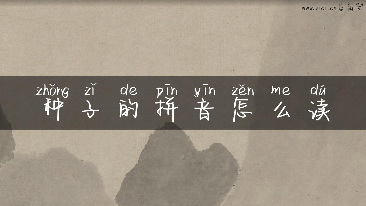种子的拼音怎么读