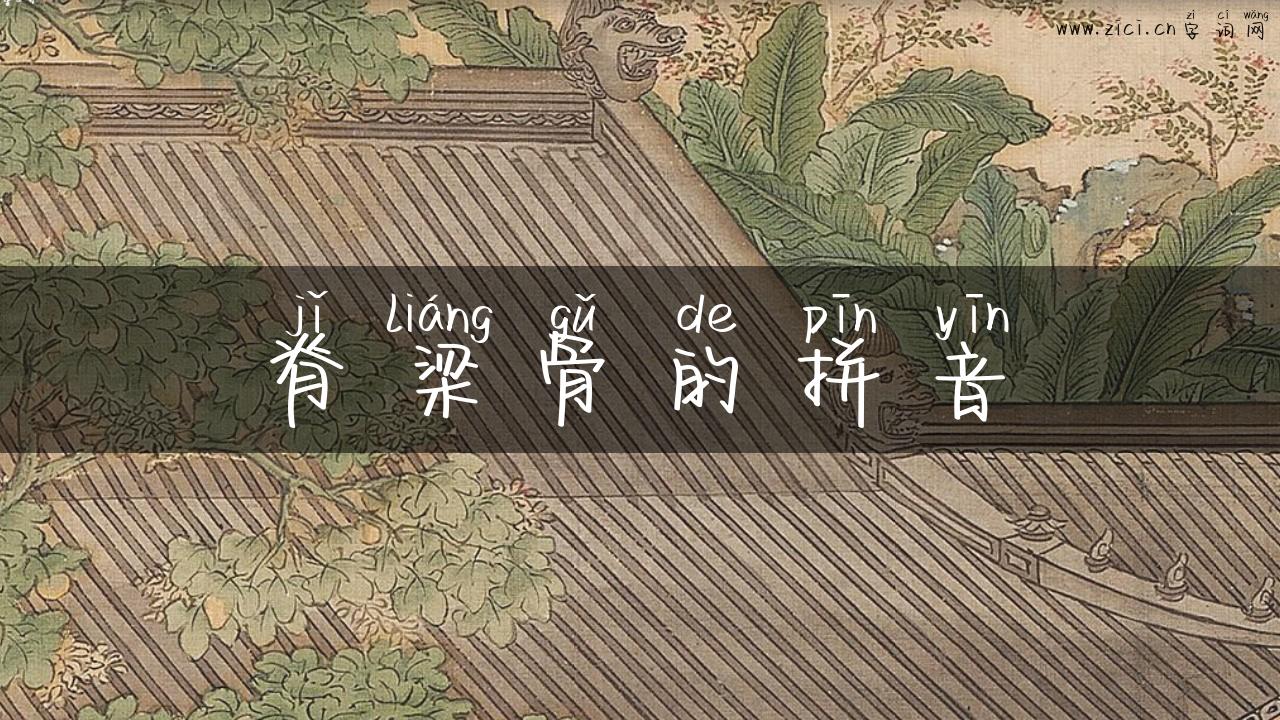 脊梁骨的拼音