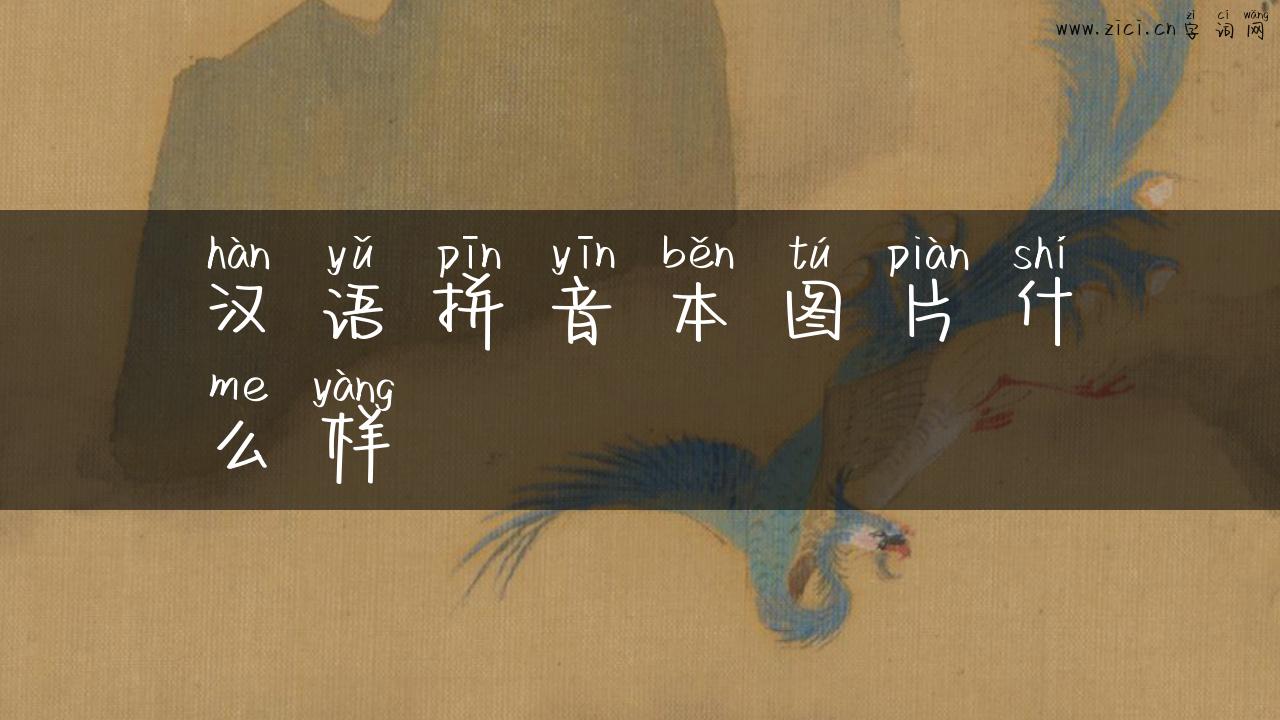 汉语拼音本图片什么样
