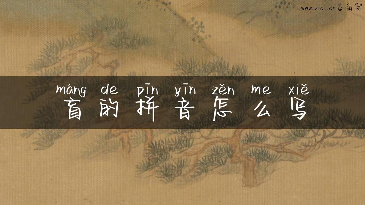盲的拼音怎么写