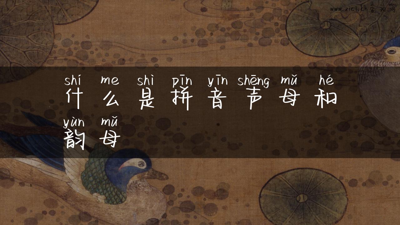 什么是拼音声母和韵母