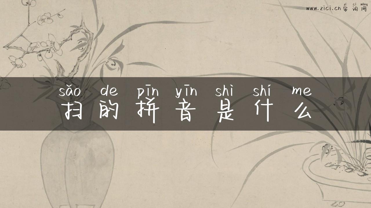 扫的拼音是什么
