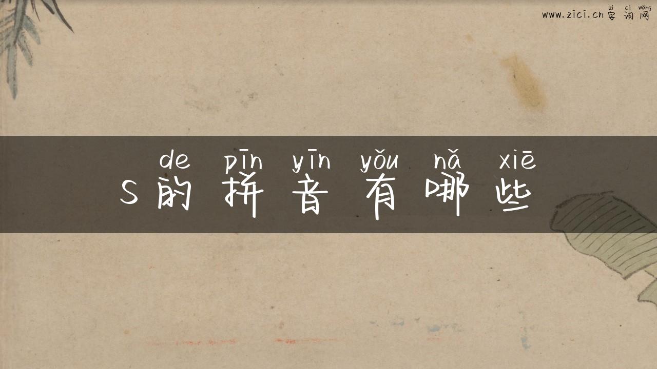 s的拼音有哪些