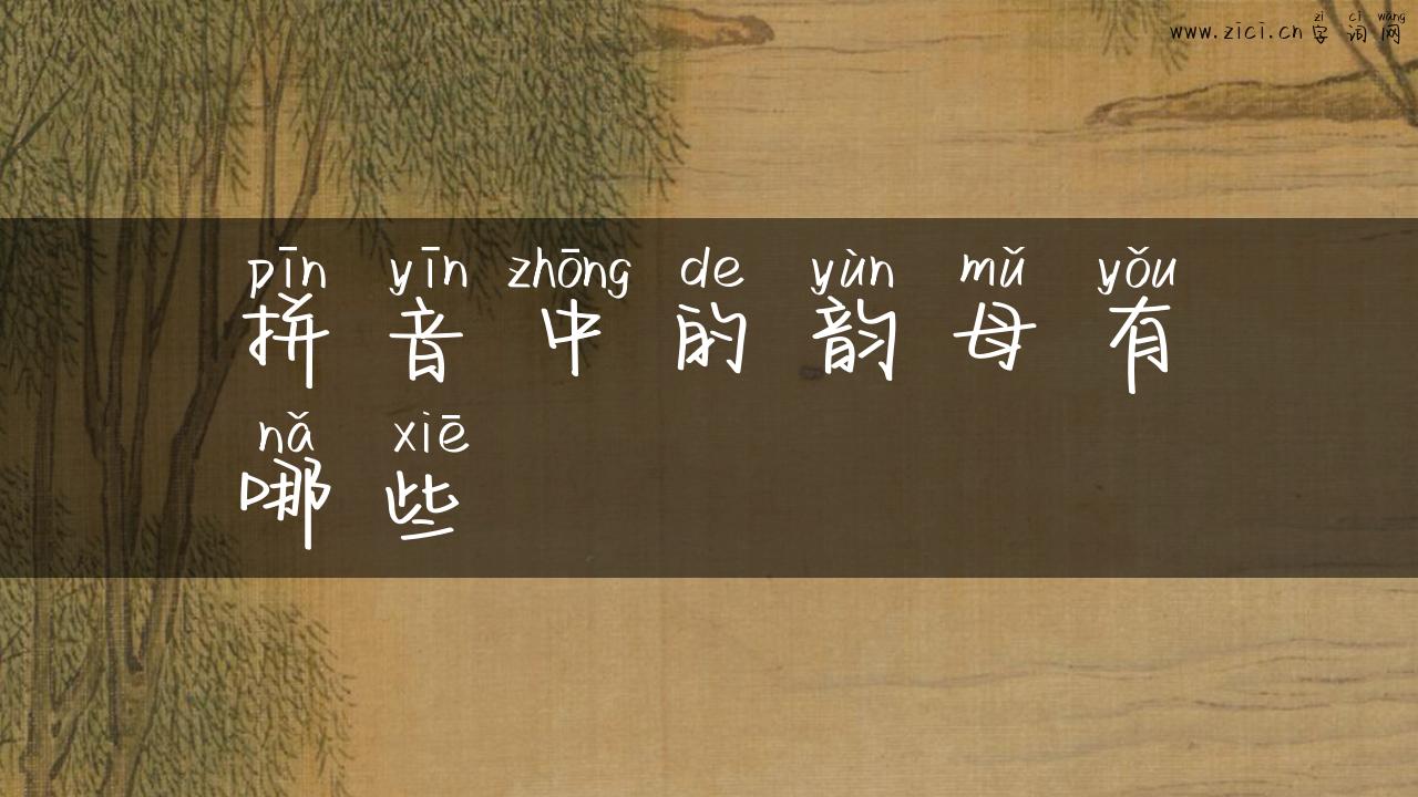 拼音中的韵母有哪些
