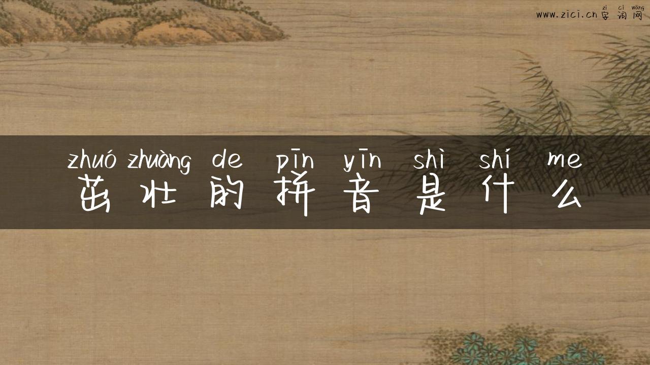 茁壮的拼音是什么