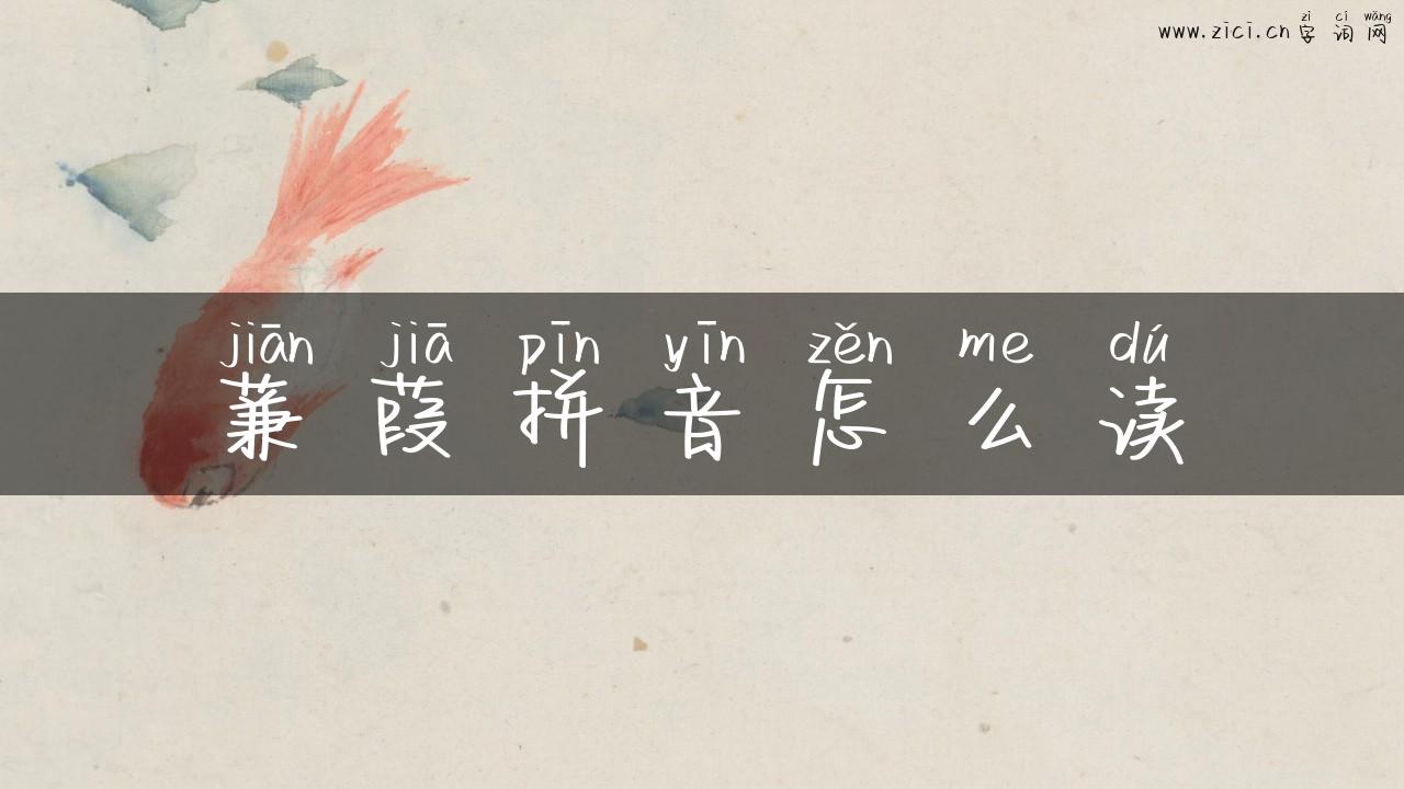 蒹葭拼音怎么读
