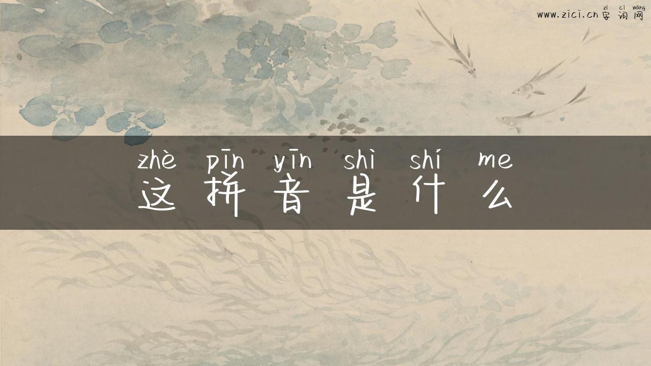 这拼音是什么