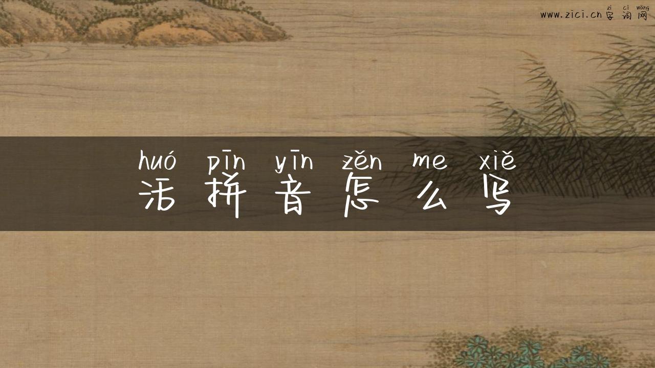 活拼音怎么写