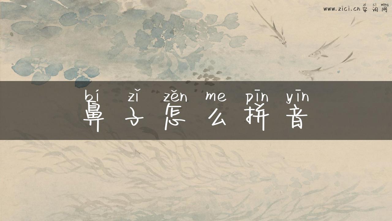 鼻子怎么拼音