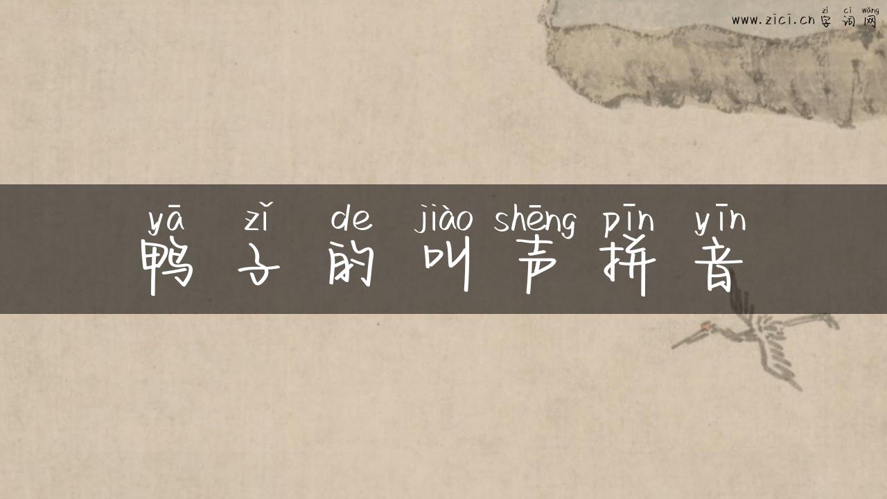 鸭子的叫声拼音