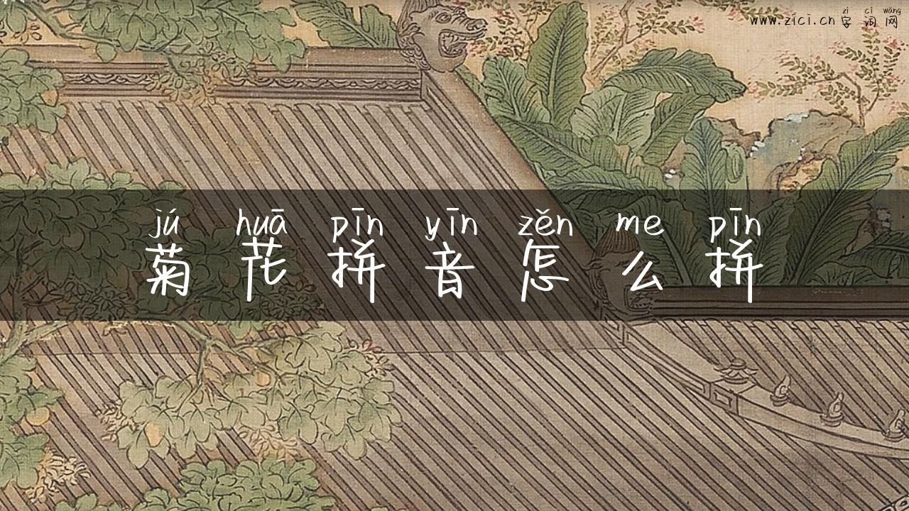 菊花拼音怎么拼