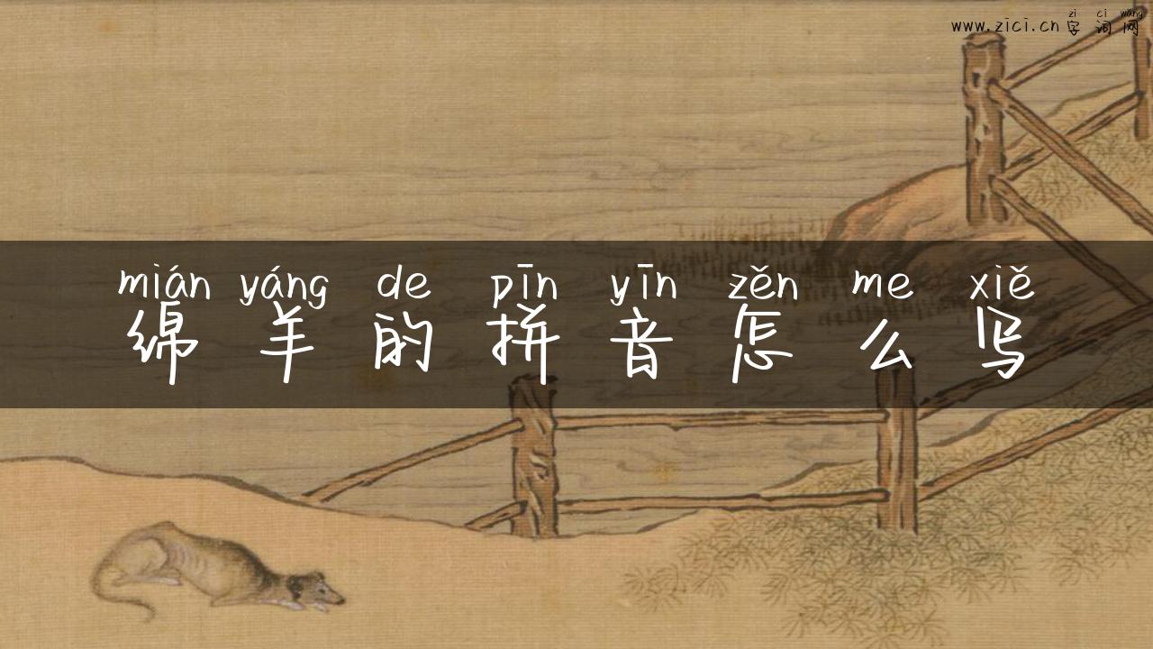 绵羊的拼音怎么写