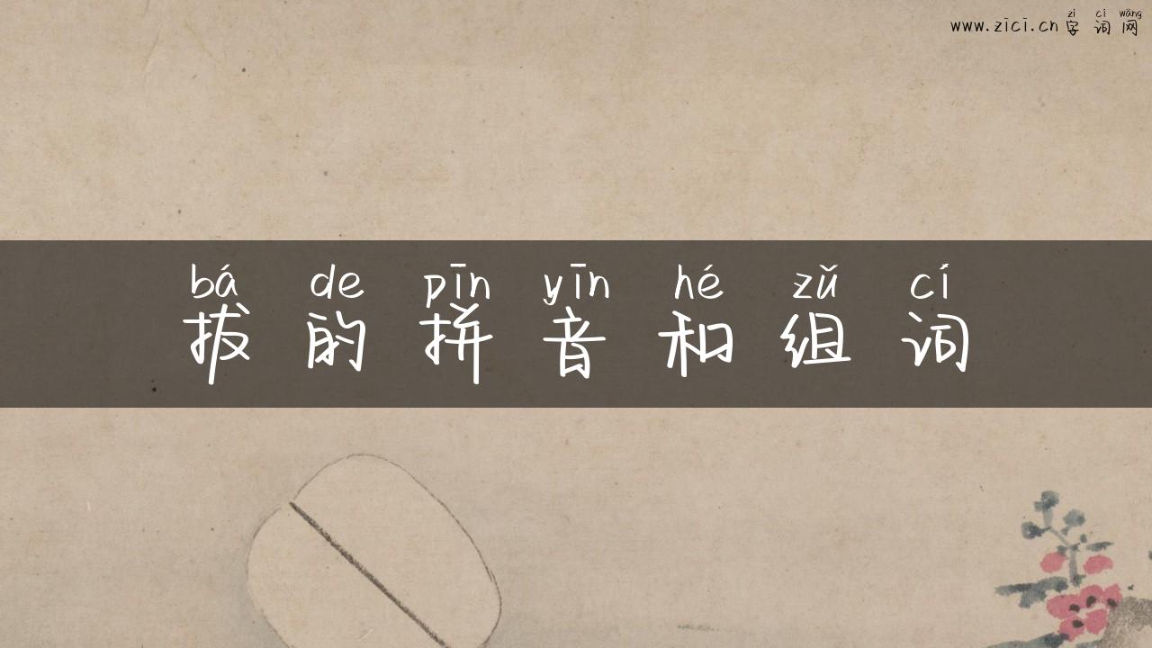 拔的拼音和组词