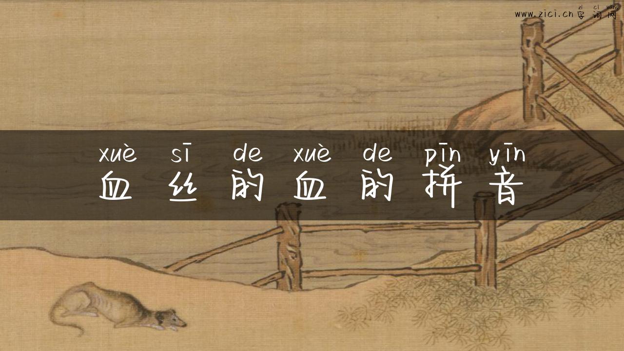 血丝的血的拼音