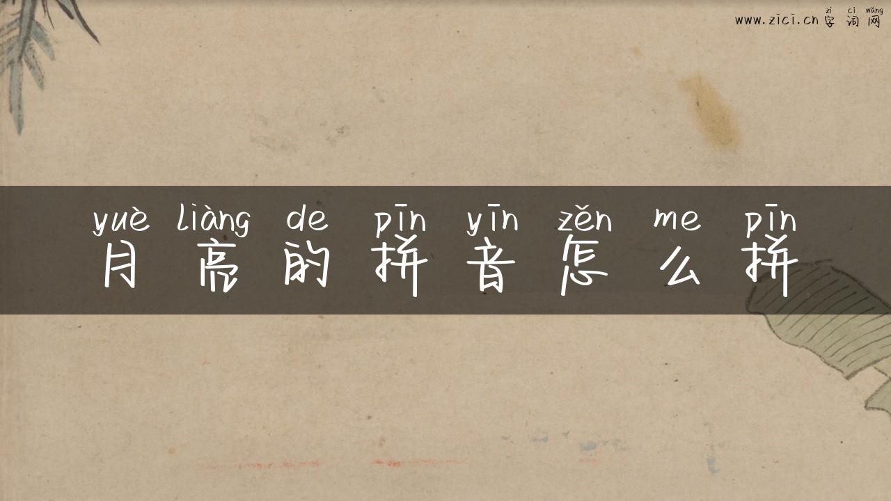 月亮的拼音怎么拼