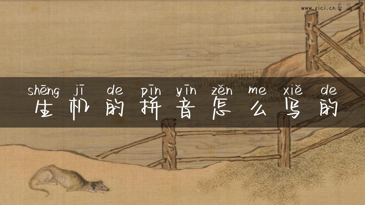生机的拼音怎么写的