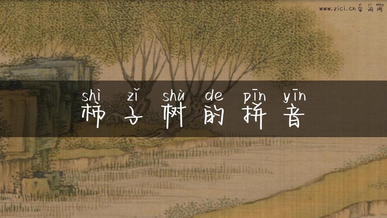 柿子树的拼音