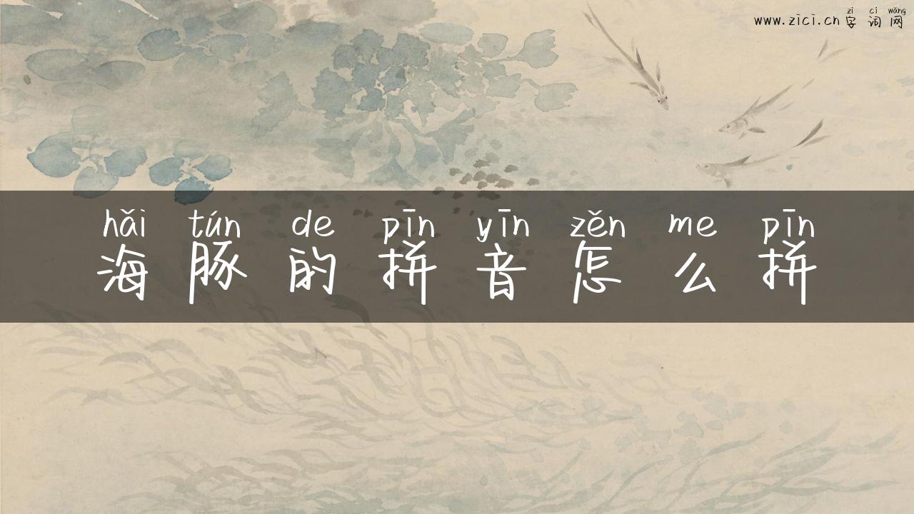海豚的拼音怎么拼
