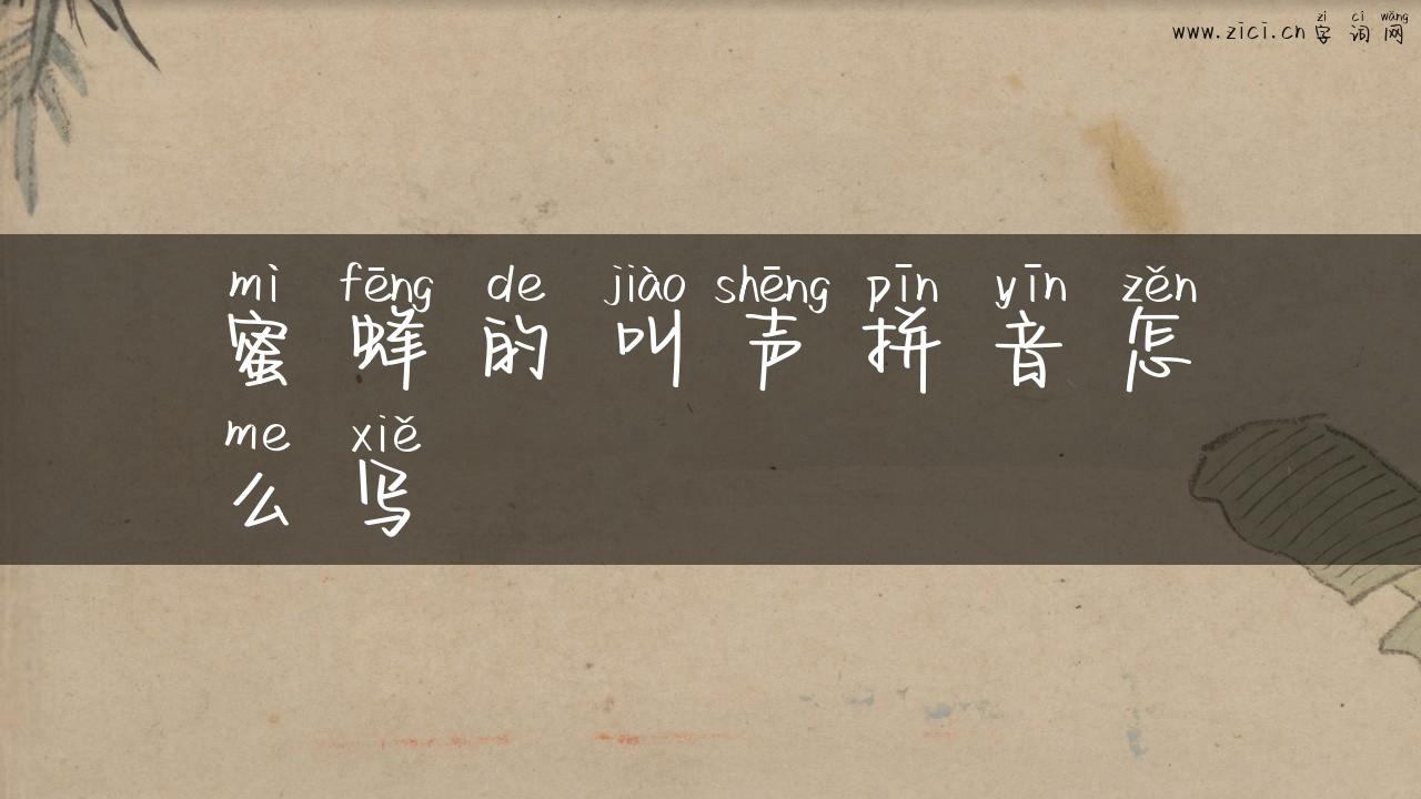 蜜蜂的叫声拼音怎么写