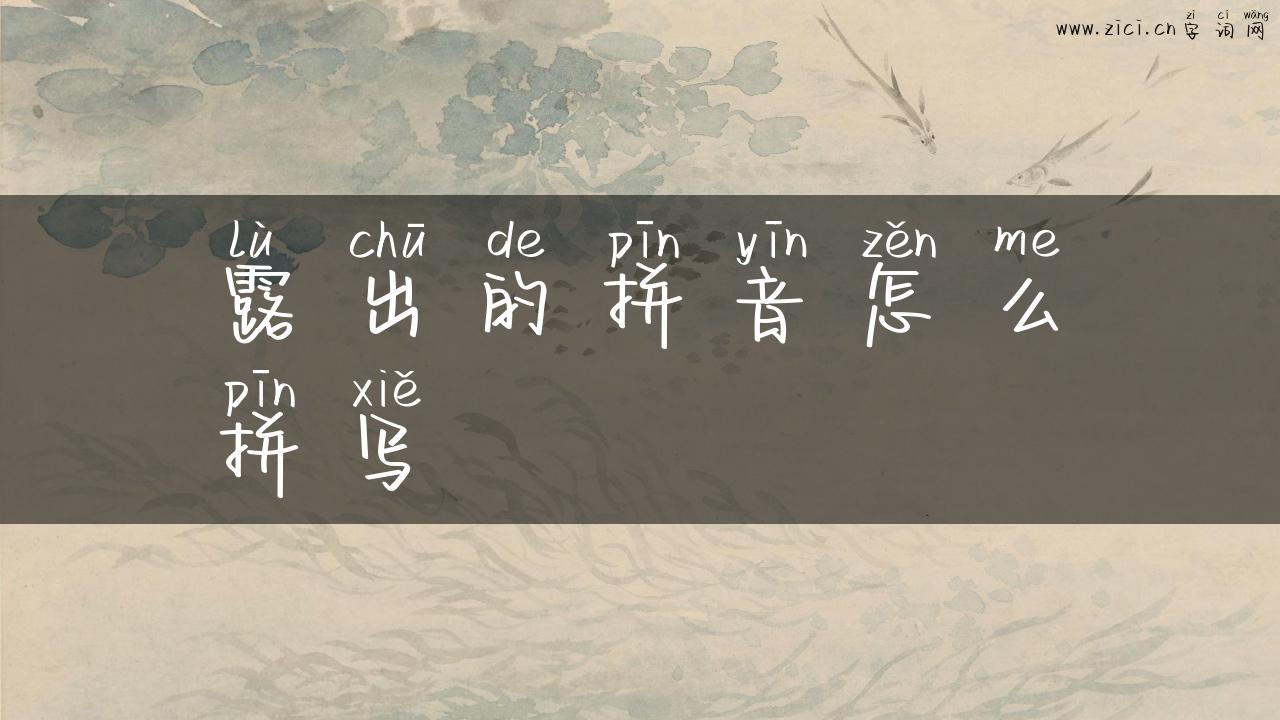 露出的拼音怎么拼写