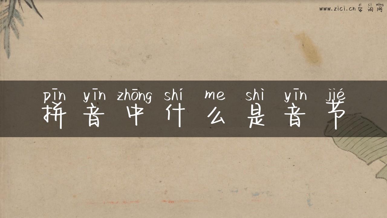 拼音中什么是音节