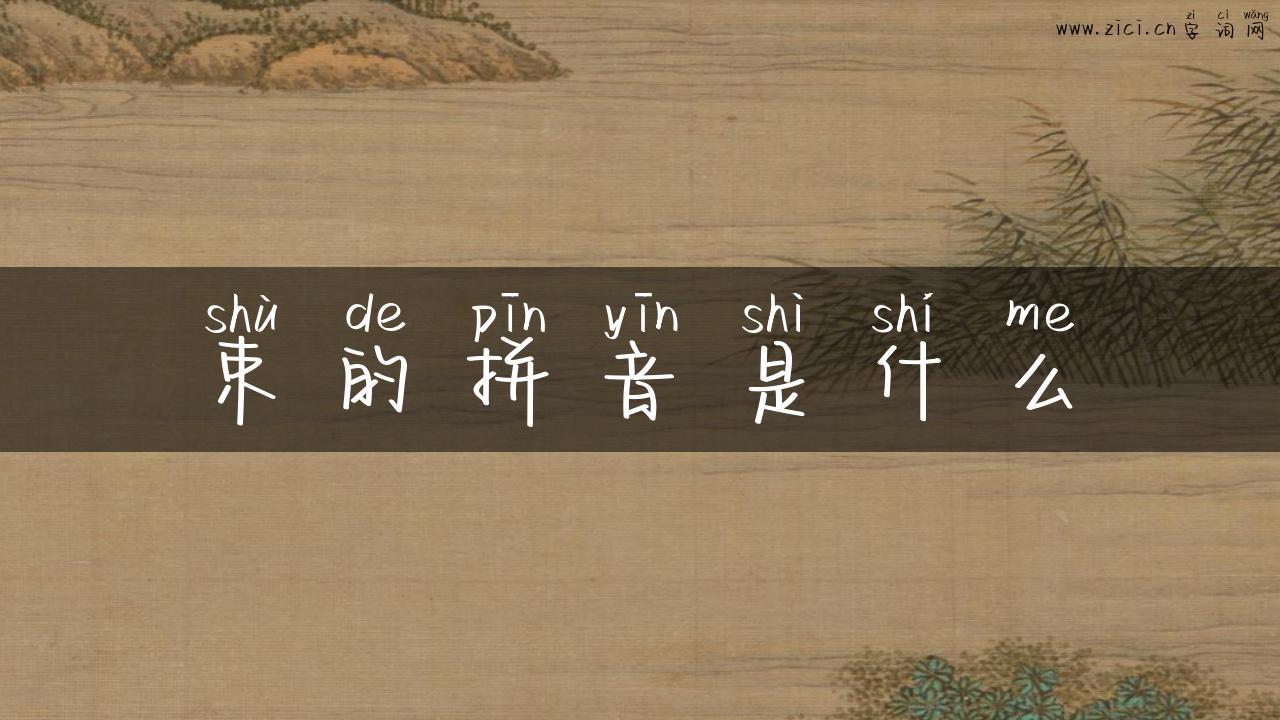 束的拼音是什么