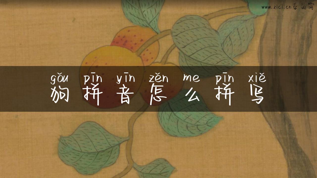 狗拼音怎么拼写