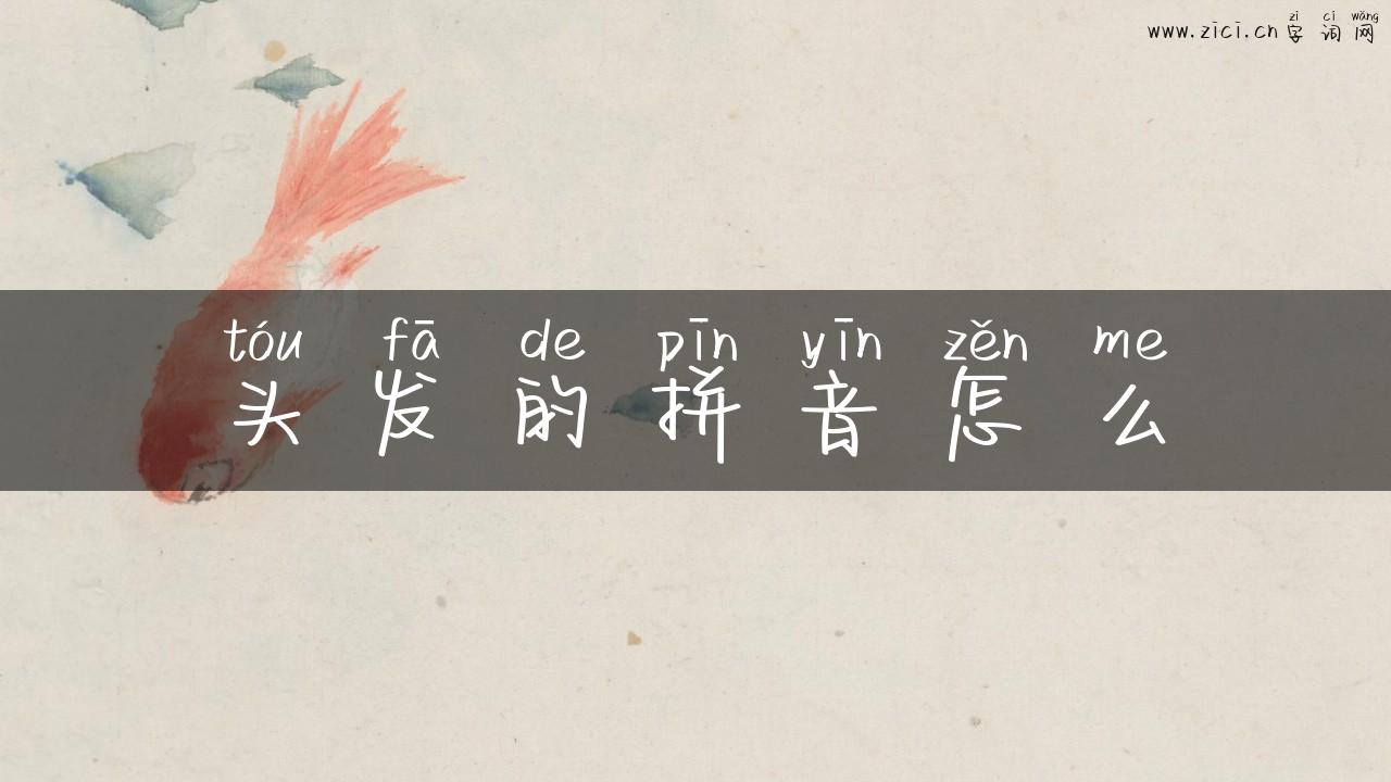 头发的拼音怎么