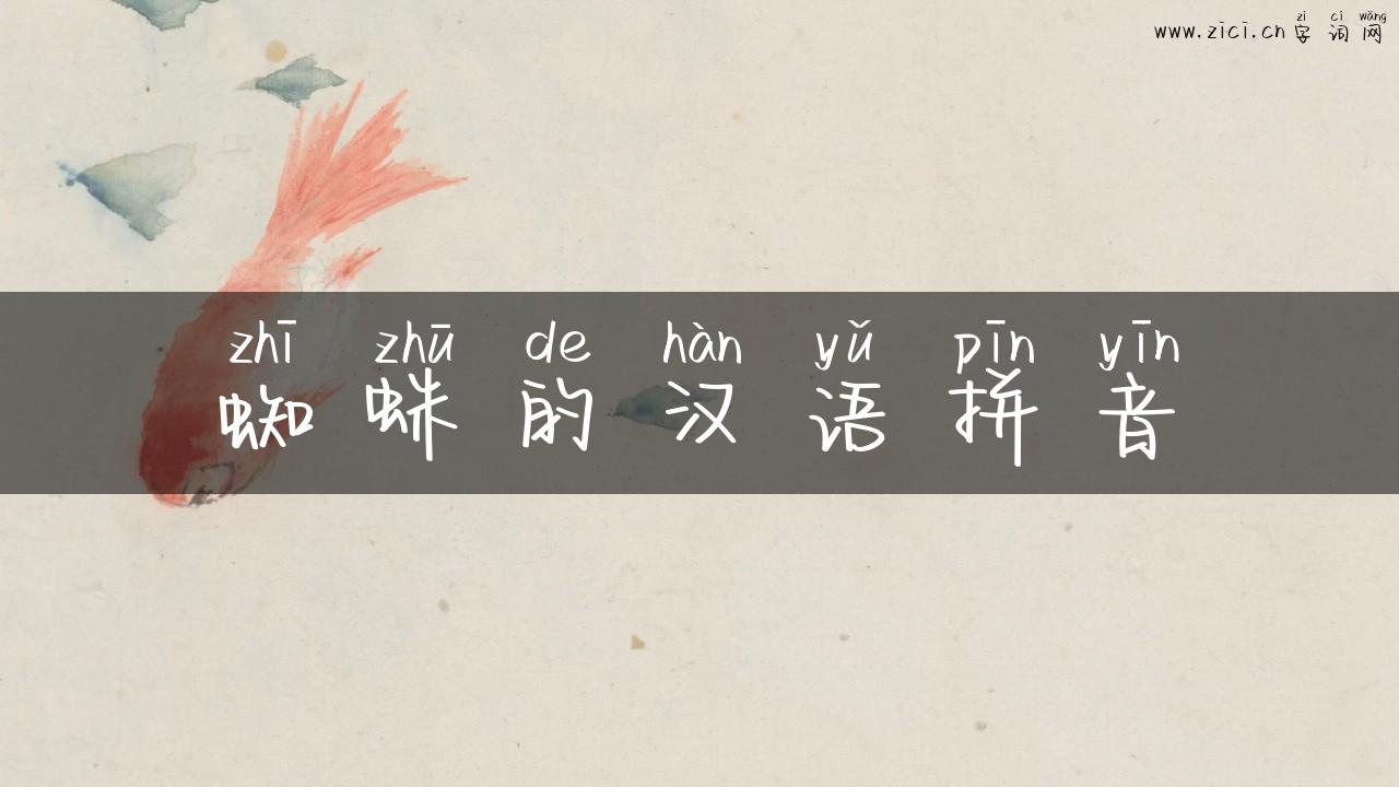 蜘蛛的汉语拼音