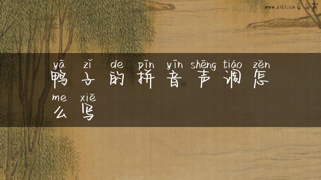 鸭子的拼音声调怎么写