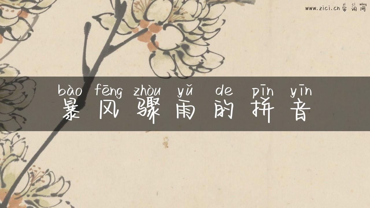 暴风骤雨的拼音