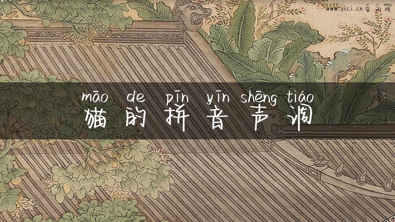 猫的拼音声调