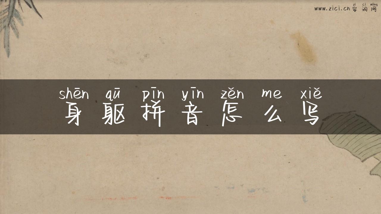 身躯拼音怎么写
