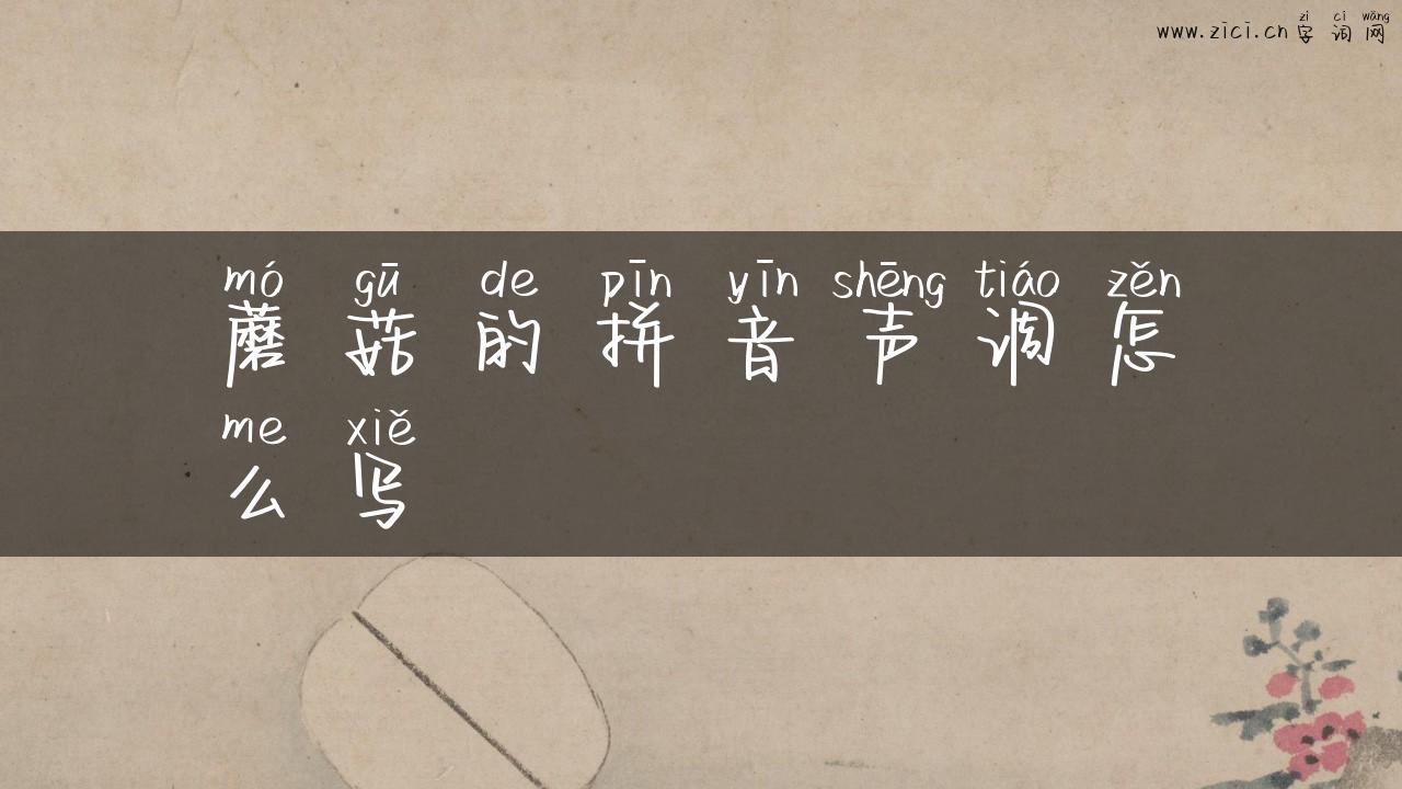 蘑菇的拼音声调怎么写