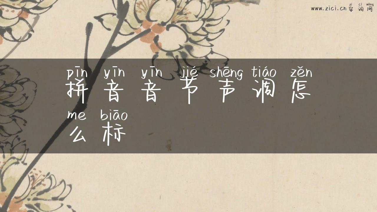 拼音音节声调怎么标