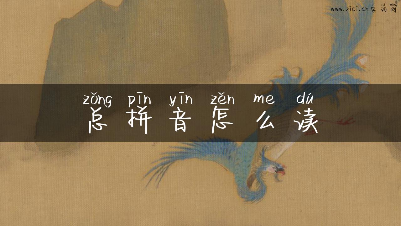 总拼音怎么读