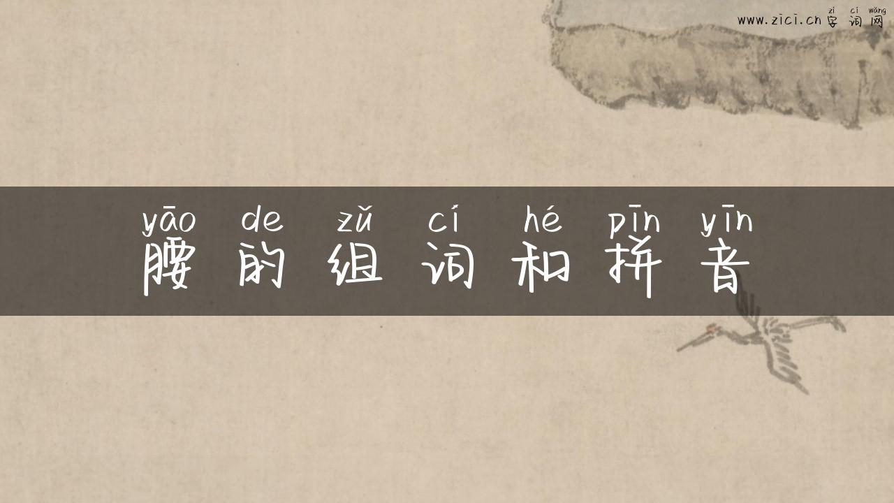 腰的组词和拼音