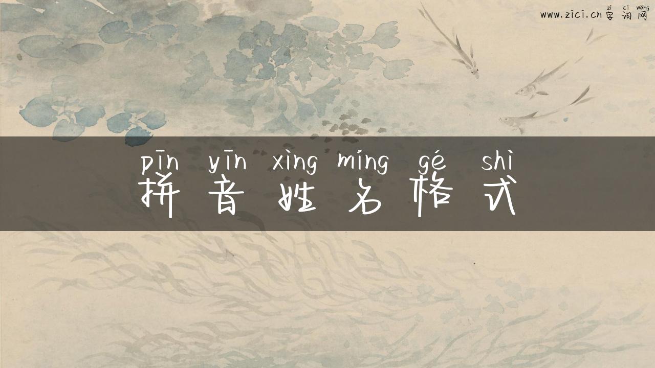 拼音姓名格式
