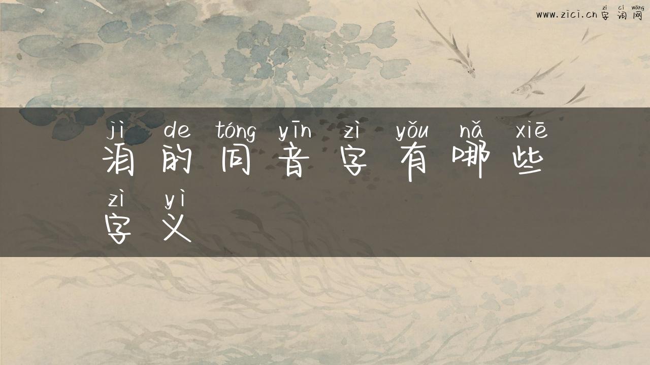 洎的同音字有哪些字义