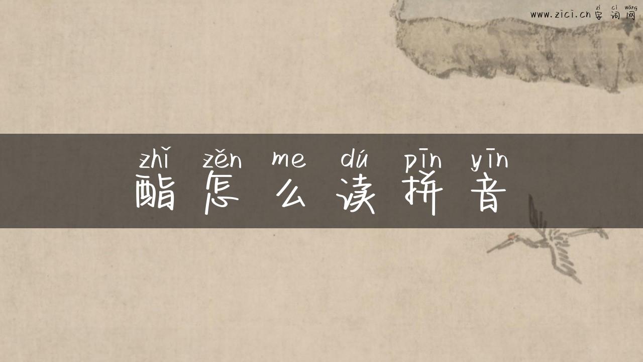 酯怎么读拼音
