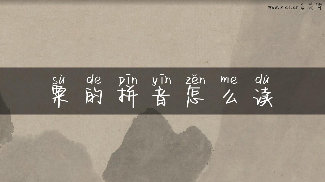 粟的拼音怎么读